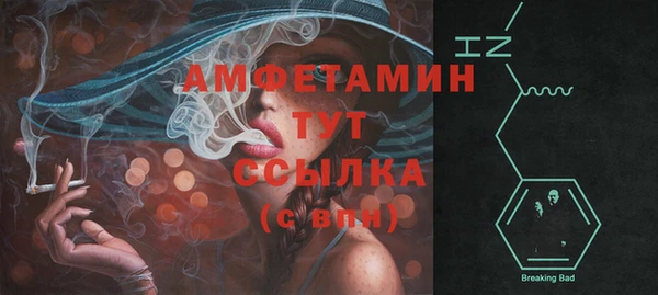 стаф Аркадак
