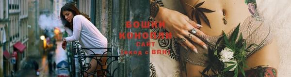стаф Аркадак