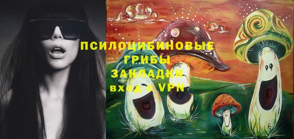 стаф Аркадак