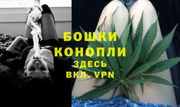стаф Аркадак