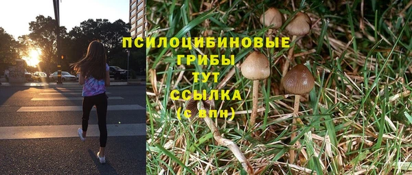 хмурый Армянск