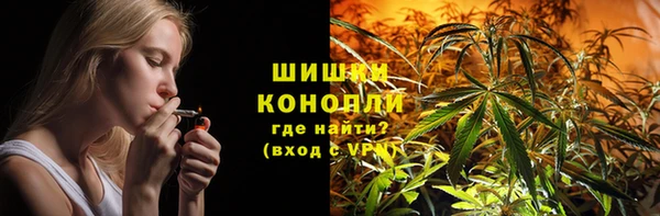 стаф Аркадак