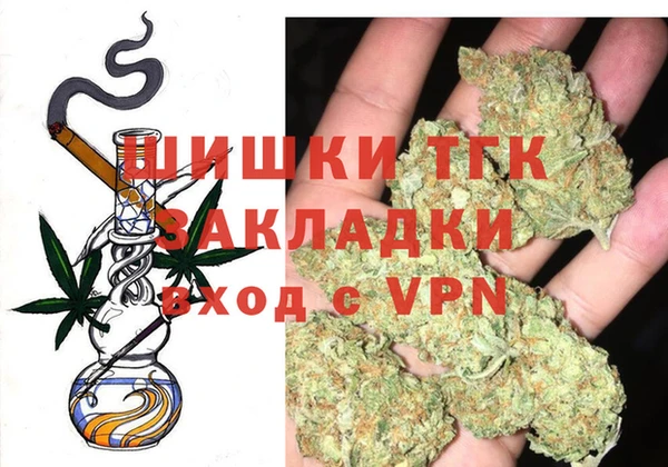 стаф Аркадак