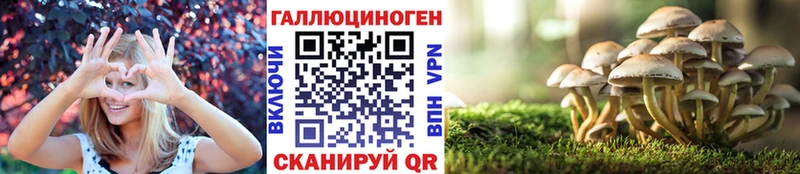 Псилоцибиновые грибы прущие грибы  Пошехонье 